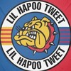 لوگوی کانال تلگرام lilhapootweet — ‌Lil Hapoo Tweet