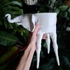 Логотип телеграм канала @liligreens — Sculpture for Plants🪴