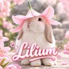 لوگوی کانال تلگرام liliumzs — 𓆩 •𝑳𝒊𝒍𝒊𝒖𝒎• 𓆪 | لیلیوم