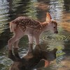 Логотип телеграм канала @lilyvivs — один билет в прекрасное
