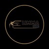 Telegram channel LIMMA UZB logo