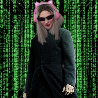 Логотип телеграм канала @lina_meow_girl — Meow Flex