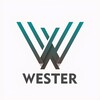 Логотип телеграм канала @linarwester — LinarWester