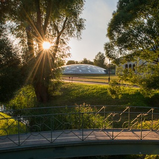 Логотип телеграм канала @lindennews — Липовые новости Михайловки