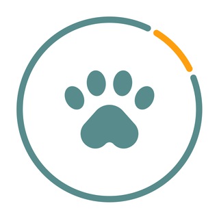 Логотип телеграм канала @linkpetme — Linkpet