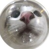 Логотип телеграм канала @linlin_264 — ПЕРЕЕЗД!/Лина спит