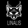 Logo of telegram channel linok_lis — LinaLis🕸️🐍