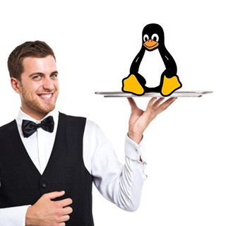 Логотип телеграм канала @linuxplz0x41 — Linux, please