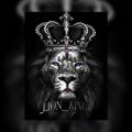 Logo saluran telegram lion_king_team2 — 🔥❷_𝙇𝙄𝙊𝙉_𝙆𝙄𝙉𝙂_𝙏𝙀𝘼𝙈_🔥