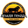 Логотип телеграм канала @lions_moscow — Парк львов ЗЕМЛЯ ПРАЙДА 🦁