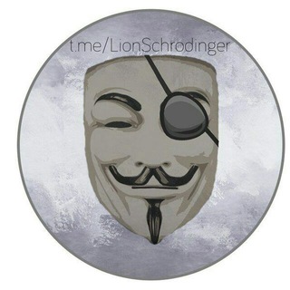 Логотип телеграм канала @lionschrodinger — Analyze This
