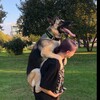 Логотип телеграм канала @lirikapoglirikoi — lirika под lirikoi