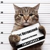Telegram channel Он вам не Барсик. logo