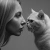 Логотип телеграм канала @lisicablack — Блондинка в теме