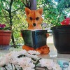 Логотип телеграм канала @lisiynos_sila — Лисий Нос - сила 🦊
