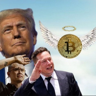 Логотип телеграм канала @lit_calls — Lit Calls | Where memecoins