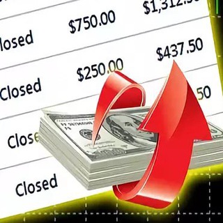 Логотип телеграм канала @literate_investprosto — Отчеты по каналам БО и profitable ИНВЕСТИЦИИ