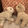 Логотип телеграм канала @literlnnp — черновик!‧˚🍪