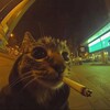 Логотип телеграм канала @literz — Клитерз