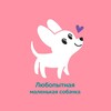 Логотип телеграм канала @little_nosey_dog — Любопытная маленькая собачка