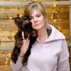 Логотип телеграм канала @littlefavori — Молина Юлия - Цветные Йорки