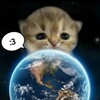 Logo of telegram channel littlekitik1 — китяти