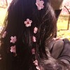 Логотип телеграм канала @littlematchbox — ¡¡ коробка спичек ¡¡