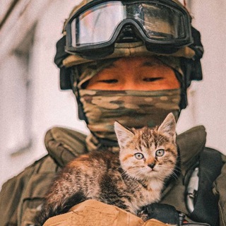 Логотип телеграм канала @liuboviputeatishna — Котятишны ньюZ