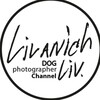 Логотип телеграм канала @livanich — Livanich Liv Dog Photo