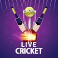Logo saluran telegram live_link_today_match — Cricket Live Links   News