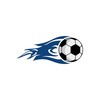 Telegram channel LIVEBALL logo