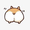 Логотип телеграм канала @livecorgi — Корги лайв • Собаки • Смешные видео