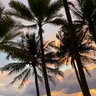 Логотип телеграм канала @liveinphuket — Живу на Пхукете !