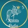 Логотип телеграм канала @lively_fish — Сёмга,ФОРЕЛЬ ОХЛАЖДЁННАЯ