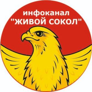 Логотип телеграм канала @livesokol — Живой Сокол (инфоканал)
