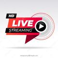 Logo saluran telegram livestreamingcalciogratis — LIVE STREAMING CALCIO GRATIS HD 🇮🇹