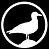 Logo of telegram channel livingstonesnowboards — Livingstone Snowboards