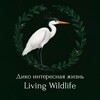 Логотип телеграм канала @livingwildlife — Дико интересная жизнь | Living wildlife