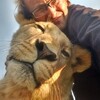 Logo of telegram channel livingwithlions — Living_with_lions