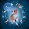 Telegram channel Lixinkkk | Таро | Гороскоп logo