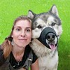 Логотип телеграм канала @lizagroomingtula — Лизина Банда | Тула | Будни грумера 🎀