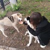 Логотип телеграм канала @lizapisa22 — лизкина хата