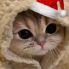 Logo of telegram channel lizashakrpp — ⋆˚♡︎⋆ Milki way