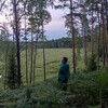 Логотип телеграм канала @lizwwwwwx — lizzwwx