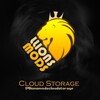Logo de la chaîne télégraphique llionsportscloudstorage - LLions Ports Cloud Storage