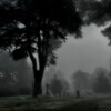 Логотип телеграм канала @llliiikkksss — 〝чᴇᴩный жнᴇц.