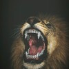 شعار قناة تلجرام llllloqq — ملاذ
