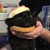 Логотип телеграм канала @lmaonewpost — О, новый пост О_о