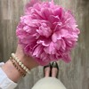 Логотип телеграм канала @loatsaalcha — ЛОАЦА АЬЛЧА