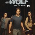 Logotipo del canal de telegramas loboadolecentetennwolf - Teen wolf (lobo adolescente)🐕